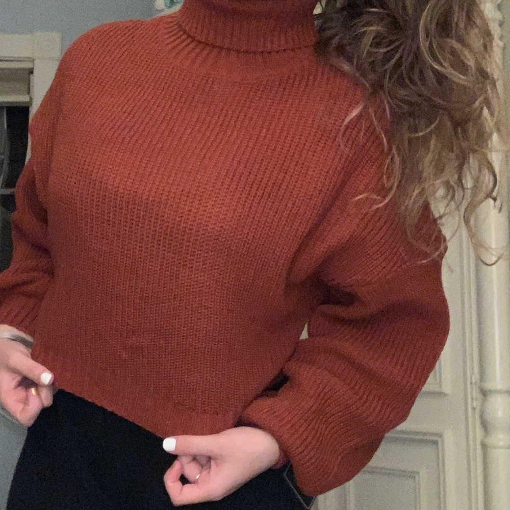 Cropped turtleneck sweater